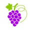 Ripe violet grape vector icon