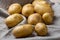 Ripe washed potato tubers on burlap fabric.