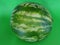 Ripe watermelon on a green background lateral closeup