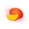 Ripe whole mango and slice of tropical stone fruit. Ingredient with sour or sweet flavor.