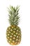 Ripe whole pineapple isolated