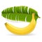 Ripe yellow banana with leaf