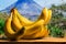 Ripe Yellow Bananas Bunch Tropical Jungle Mountain