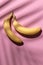 Ripe yellow bananas isolated on a pink background under a palm tree leaves. hard shadows from the sun at noon. travel and