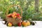 Ripe yellow juicy pears and pear tree leaves in a basket on a table with a white tablecloth on autumnal blur nature background