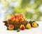 Ripe yellow juicy pears and pear tree leaves in a basket on a table with a white tablecloth on autumnal blur nature background