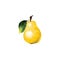 Ripe yellow pear drawn in triangulation style on a white background. Design for decor, still life, food advertising, websites
