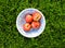 Ripe yellow-red orange peaches. Fresh harvest. The best healthy snack.Colorful fruits in white bowl on green grass.