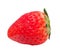 Ripen strawberry isolated