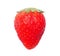 Ripen strawberry isolated