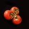 Ripen tomatoes over black background