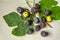 Ripened berries dark purple figs with large leaves and a dry twig