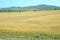 Ripened panicles of Common Oats Avena sativa .Rural landscape at dawn, terrain with oat fields and from the village on the hill.