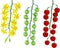 Ripening stages of tomatoes: from flowers to red ripe fruits. Bunch cherry tomatoes
