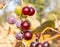 Ripening on a vine bunch of red grapes, with blurred leaves in the background