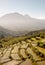 Ripid terraced rice field