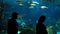 Ripley's Aquarium. People silhouettes standing in front of big aquarium.