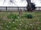 Rippavilla Plantation slave cemetery 2020 worn unreadable wood plank wooden grave marker