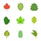 Ripped leaves icons set, cartoon style