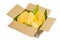 Ripped mangoes in a paper box ready to export.