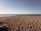 Rippled beach sand and ocean