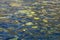 Rippled blue water surface with yellow reflections
