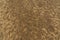Rippled golden brown desert sand Texture background