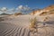 Rippled sand dunes