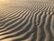 Rippled sand dunes in early morning light on Grado beach - Italy