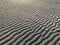 Rippled sand dunes in early morning light on Grado beach - Italy