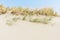 Rippled white sand dunes with marram grass under a blue sky