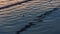 Ripples sea waves as water texture background and anchor rope