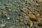 Ripples and sunlight reflexes in a large rock pool