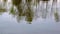 Ripples on the surface of the pond and the reflection of green trees. Small raindrops. Dynamic video substrate, screen saver.