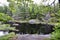 Ripples and tree reflections across dark coloured lake along hiking trail at Algonquin Park