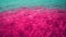 Ripples on the water close-up. Hot pink and juicy blue. Abstract color slow motion video