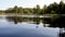 Rippling surface of lake with reflection of forest on background. Clip. Mirror reflection of forest landscape in waters