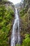 Risco waterfall on madeira island, portugal, in the middle of the tropical forest