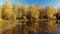 Rise above Russian autumn landscape with birches and pond