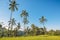 Rise terraces with tropical coconut palms in Bali and volcano at background