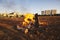 RISHON LE ZION, ISRAEL-MAY 11, 2017: Elementary school kids in festive Lag Baomer bonfires in Rishon Le Zion, Israel.