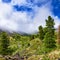 Rising mist over valley of mountain stream