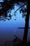 Rising moon with coastal moonlight on the lake and a pine