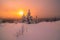 Rising sun in the cloudy sky over snow-covered fir trees on a mountaintop on a winter morning. Zuratkul National Park.