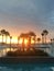 The rising sun peeping through the palm trees