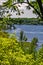 Rising Water in Manistee Lake