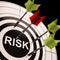 Risk On Dartboard Shows Risky Business