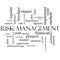 Risk Management Word Cloud Concept in black and white