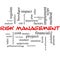 Risk Management Word Cloud Concept in red caps