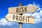 Risk, profit - wooden signpost